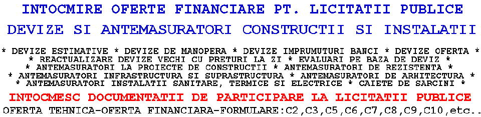 devize antemasuratori constructii licitatii publice